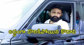 Fruits for Liver: మీ కాలేయం ఆరోగ్యంగా ఉండాలా? ఇక ఈ ఐదు పండ్లు వారంలో కనీసం ఒక్కసారైనా తినండి