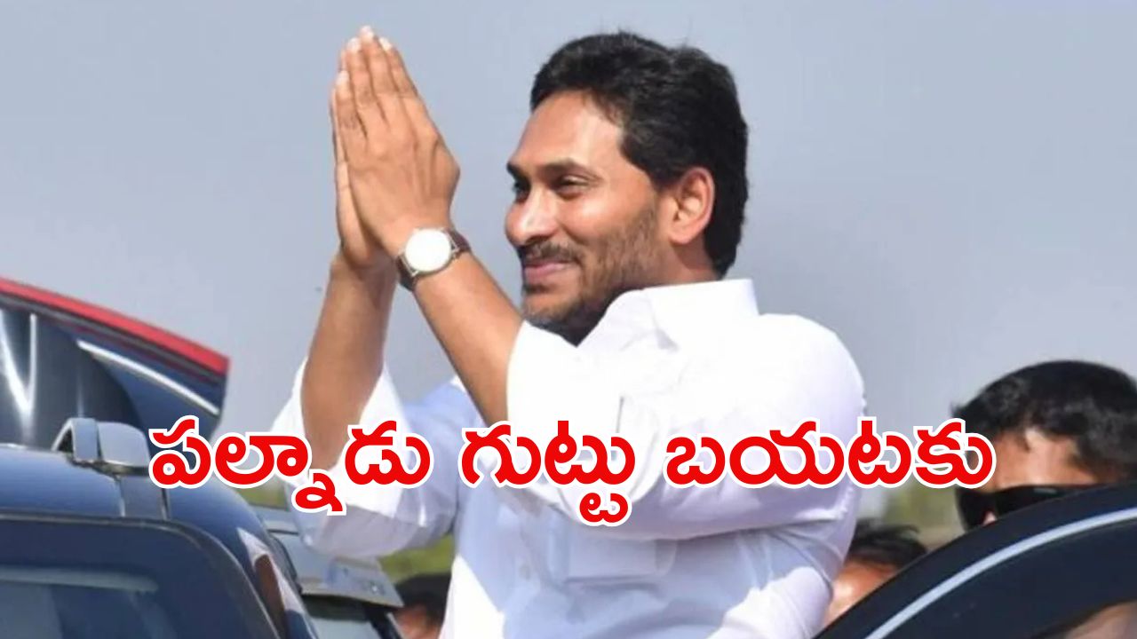 Jagan Palnadu Tour: నేడు పల్నాడుకి జగన్.. టూర్ సీక్రెట్ బయటకు, కారణం అదేనా?