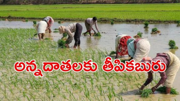 Rythu Bharosa Scheme: ఖాతాల్లోకి ‘రైతు భరోసా’ సాయం.. అకౌంట్ చెక్ చేసుకోవచ్చు