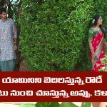Brahmamudi Serial Today June 18th: ‘బ్రహ్మముడి’ సీరియల్‌: అప్పు ప్లాన్‌ సక్సెస్‌ – యామినిని బ్లాక్‌ మెయిల్‌ చేసిన రౌడీ  