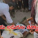UP News: చనిపోయిన యువతితో పెళ్లి.. ఆ తర్వాతే కాటికి , ఏం జరిగింది?