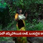 Brahmamudi Serial Today June 6th: ‘బ్రహ్మముడి’ సీరియల్: అడవిలో తప్పిపోయిన   రాజ్‌ –  ఒంటరిదైన కావ్య