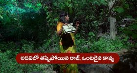 Brahmamudi Serial Today June 6th: ‘బ్రహ్మముడి’ సీరియల్: అడవిలో తప్పిపోయిన   రాజ్‌ –  ఒంటరిదైన కావ్య