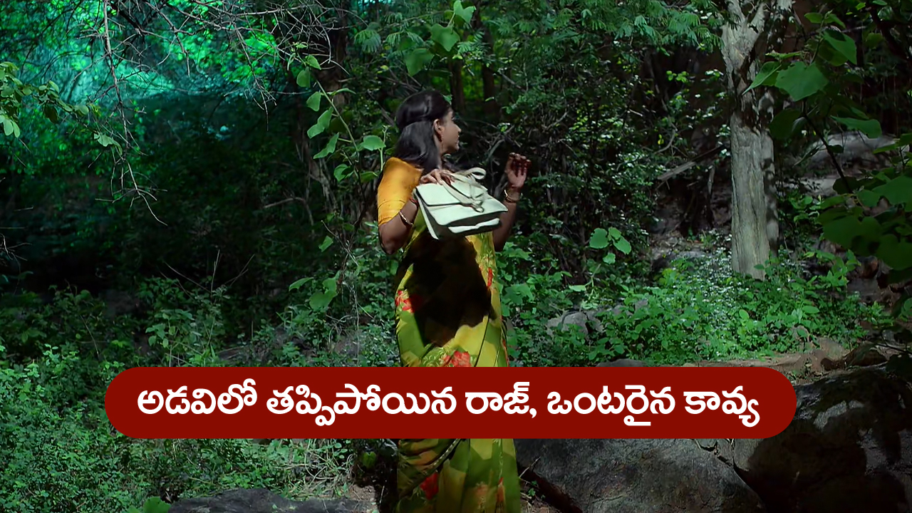 Brahmamudi Serial Today June 6th: ‘బ్రహ్మముడి’ సీరియల్: అడవిలో తప్పిపోయిన   రాజ్‌ –  ఒంటరిదైన కావ్య