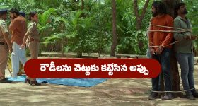 Tirupati Drug Racket: యువతను చిత్తు చేస్తున్న 'మత్తు'
