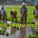 AP Govt: ఏపీలో రైతులకు శుభవార్త.. దరఖాస్తు ఈ విధంగా