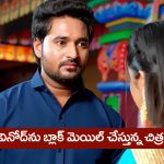 Nindu Noorella Saavasam Serial Today June 19th : ‘నిండు నూరేళ్ల సావాసం’ సీరియల్‌: వినోద్‌కు డెడ్‌లైన్‌ పెట్టిన చిత్ర
