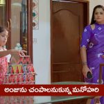 Nindu Noorella Saavasam Serial Today June 21st : ‘నిండు నూరేళ్ల సావాసం’ సీరియల్‌: అంజును టార్గెట్‌ చేసిన మను  