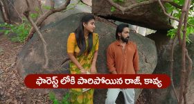 Brahmamudi Serial Today June 5th: ‘బ్రహ్మముడి’ సీరియల్: కావ్యతో గొడవ పడ్డ రౌడీలు – అడవిలోకి వెళ్లిపోయిన రాజ్‌, కావ్య