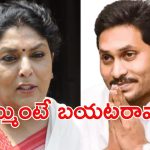 Renuka Vs Jagan: ‘సంకర జాతి’ కామెంట్స్..  జగన్‌పై రేణుకాచౌదరి ఆగ్రహం, పార్లమెంటులో చెబుతా