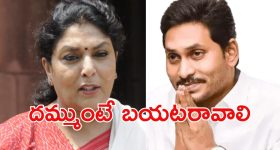 Renuka Vs Jagan: ‘సంకర జాతి’ కామెంట్స్..  జగన్‌పై రేణుకాచౌదరి ఆగ్రహం, పార్లమెంటులో చెబుతా