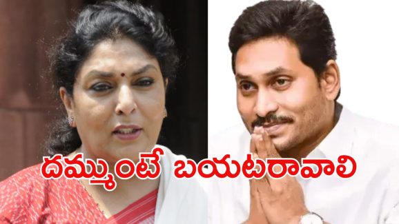 Renuka Vs Jagan: ‘సంకర జాతి’ కామెంట్స్..  జగన్‌పై రేణుకాచౌదరి ఆగ్రహం, పార్లమెంటులో చెబుతా