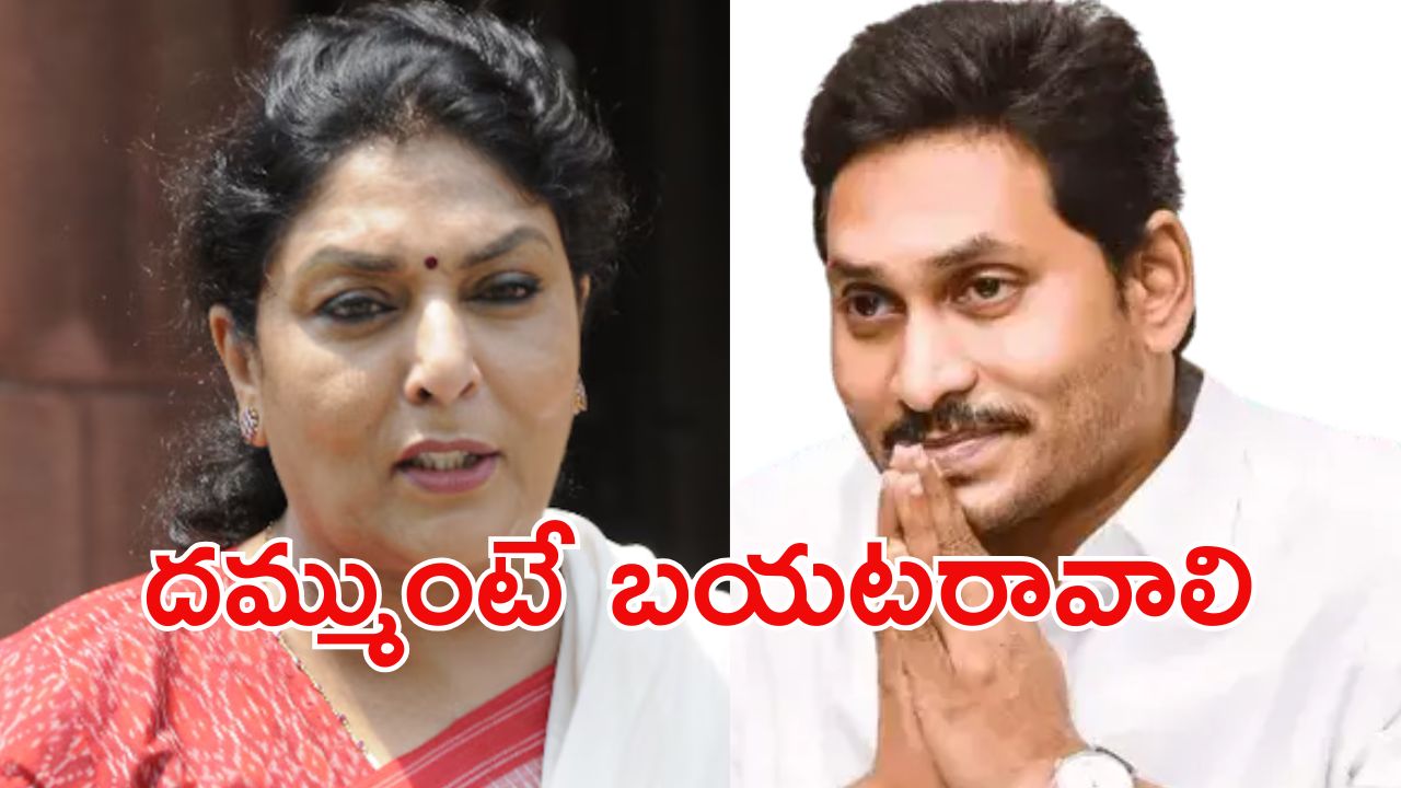 Renuka Vs Jagan: ‘సంకర జాతి’ కామెంట్స్..  జగన్‌పై రేణుకాచౌదరి ఆగ్రహం, పార్లమెంటులో చెబుతా