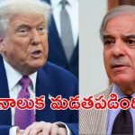 Pakistan: మొన్న ట్రంప్‌కి నోబెల్ ఇవ్వాలని అంది.. నేడు అమెరికాపై విరుచుకుపడిన పాక్