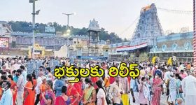 Tirumala News: టీటీడీ కీలక నిర్ణయం.. భారీగా తగ్గింపు, మీరు కూడా అప్లై చేయొచ్చు