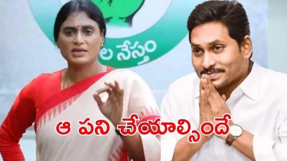Jagan: జగన్ ర్యాలీలను నిషేధించాలి? ప్రభుత్వంపై పెరుగుతున్న ఒత్తిడి