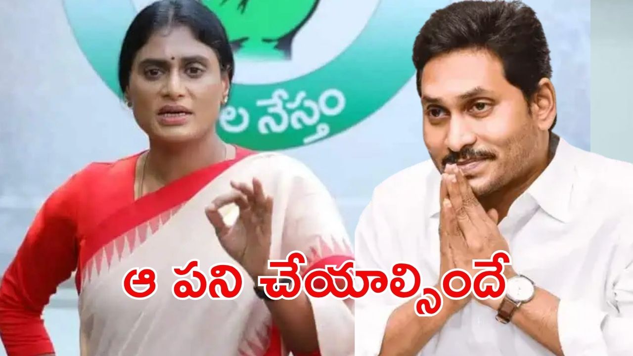 Jagan: జగన్ ర్యాలీలను నిషేధించాలి? ప్రభుత్వంపై పెరుగుతున్న ఒత్తిడి