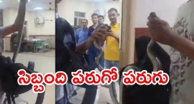 Viral Video: నన్ను కరిచింది ఇదే.. సంచిలో నుంచి పాముని తీసి, వైరల్ వీడియో