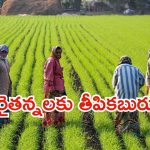 Annadata Sukhibhava Scheme: అన్నదాత సుఖీభవ.. రైతుల కళ్లలో ఆనందమే