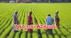 Indian Bank Jobs: ఇండియన్ బ్యాంక్‌లో ఆఫీస్ అసిస్టెంట్ జాబ్స్.. త్వరగా అప్లై చేయండి