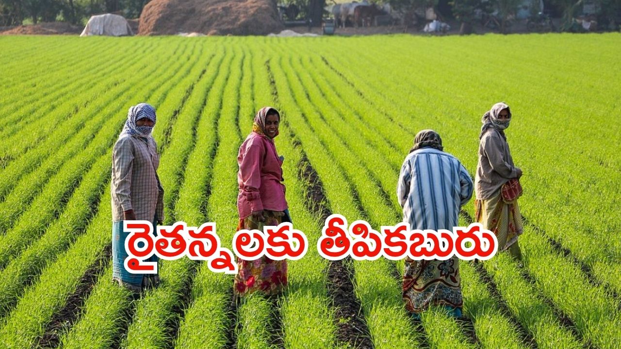 Annadata Sukhibhava Scheme: అన్నదాత సుఖీభవ.. రైతుల కళ్లలో ఆనందమే