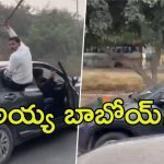 Viral Video: కారుపై బీజేపీ జెండా.. యూత్ ప్రమాదకరమైన విన్యాసాలు, వైరల్ వీడియో