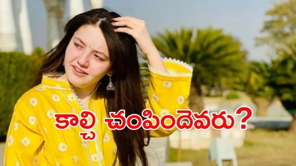 Sana Yousuf: బర్త్ డే రోజే పాక్ సోషల్ మీడియా ఇన్‌ఫ్యూయెన్సర్ హత్య.. చంపింది బంధువేనా?