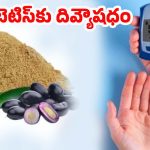 Jamun Seed Powder: ఇక డయాబెటిస్‌కు గుడ్ బై.. ఈ ఒక్క పౌడర్‌ వాడితే షుగర్ కంట్రోల్