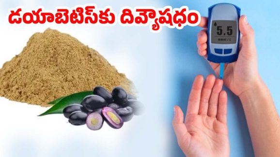 Jamun Seed Powder: ఇక డయాబెటిస్‌కు గుడ్ బై.. ఈ ఒక్క పౌడర్‌ వాడితే షుగర్ కంట్రోల్