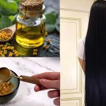 Fenugreek Oil: బెస్ట్ ఆయిల్, ఇది వాడితే.. జన్మలో జుట్టు రాలదు