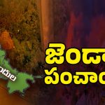 YSRCP VS TDP: పులివెందులలో జెండాల గోల.. వివాదంలో పిల్లలు