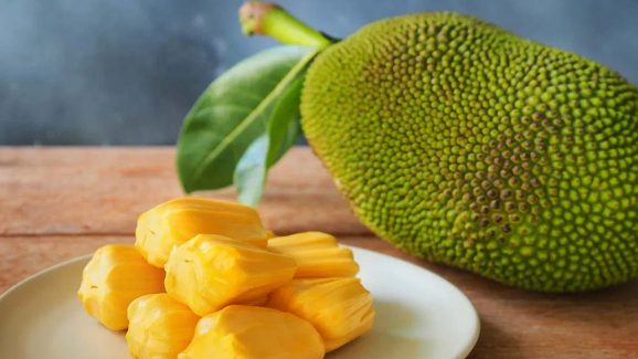Jackfruit Benefits: పసన పండు తింటే.. బోలెడు ప్రయోజనాలు