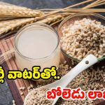 Barley Water: బార్లీ వాటర్ తాగితే.. అద్భుతమైన ప్రయోజనాలు, అస్సలు ఊహించి ఉండరు