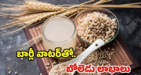 Barley Water: బార్లీ వాటర్ తాగితే.. అద్భుతమైన ప్రయోజనాలు, అస్సలు ఊహించి ఉండరు