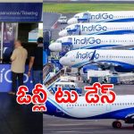 IndiGo Offer: ప్రయాణికులకు శుభవార్త.. అదిరిపోయేలా బంపరాఫర్