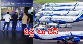 IndiGo Offer: ప్రయాణికులకు శుభవార్త.. అదిరిపోయేలా బంపరాఫర్