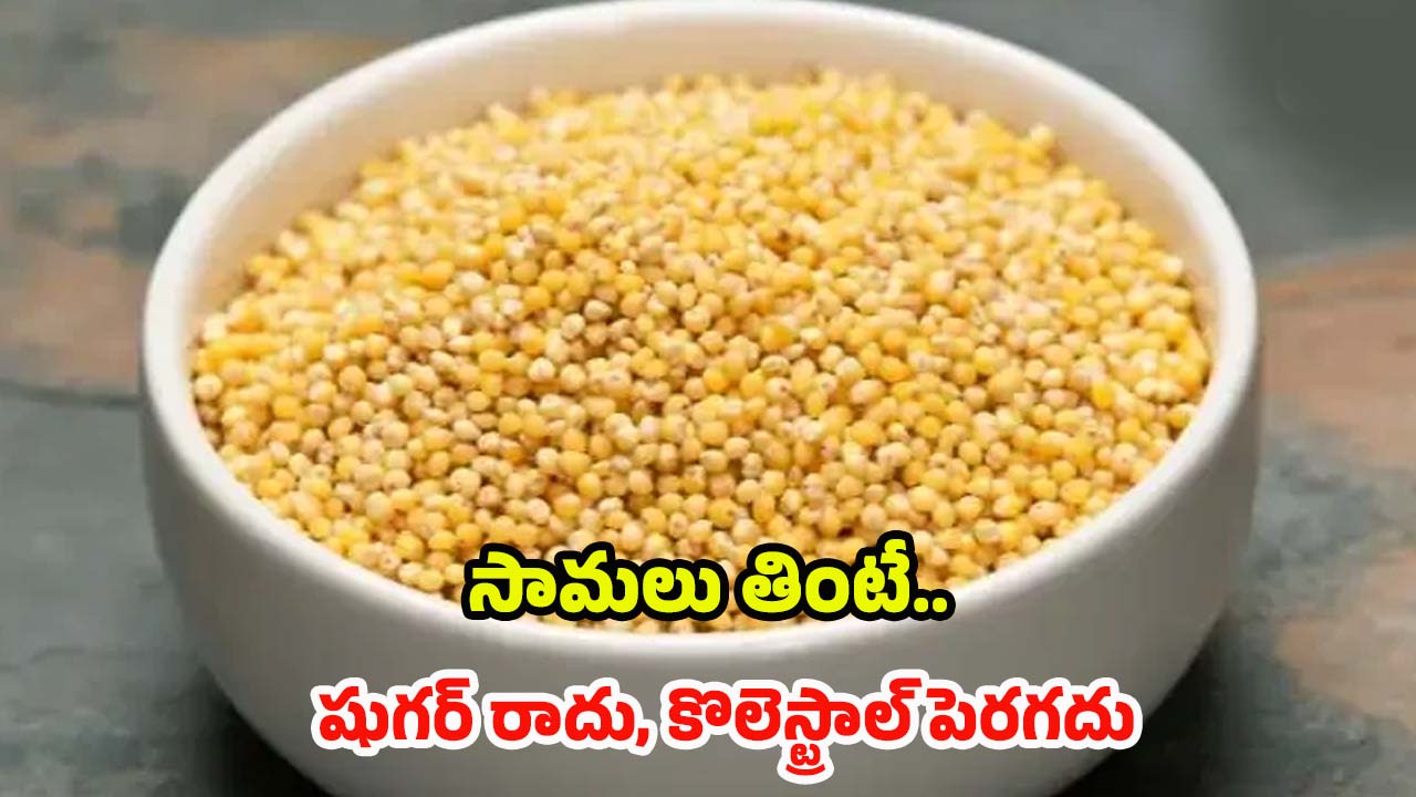 Little Millet: సామలు తింటే.. షుగర్ రాదు, కొలెస్ట్రాల్ పెరగదు, మరెన్నో ప్రయోజనాలు