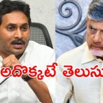 CM Chandrababu: వారికి నరకడం తెలుసు.. సీఎం చంద్రబాబు కీలక వ్యాఖ్యలు