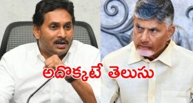 CM Chandrababu: వారికి నరకడం తెలుసు.. సీఎం చంద్రబాబు కీలక వ్యాఖ్యలు