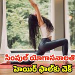 Asanas For Hair: ఈ సింపుల్ యోగాసనాలతో.. హెయిర్ ఫాల్‌‌ కంట్రోల్