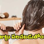 Hair Growth Tips: జుట్టు రోజు రోజుకూ పలచబడుతోందా ? అయితే ఈ టిప్స్ మీ కోసమే