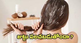 Hair Growth Tips: జుట్టు రోజు రోజుకూ పలచబడుతోందా ? అయితే ఈ టిప్స్ మీ కోసమే