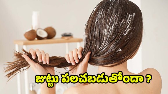 Hair Growth Tips: జుట్టు రోజు రోజుకూ పలచబడుతోందా ? అయితే ఈ టిప్స్ మీ కోసమే