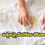 White Clothes: ఈ సింపుల్ టిప్స్‌తో.. తెల్లబట్టలపై మరకలు క్షణాల్లోనే మాయం