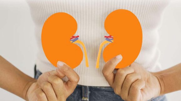 Kidney Health: కిడ్నీలు ఆరోగ్యంగా ఉండటానికి సింపుల్ చిట్కాలు..