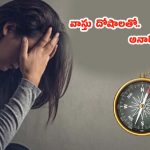 Vastu Tips: ఇంట్లో ఎప్పుడూ ఎవరో ఒకరు అనారోగ్యం బారిన పడుతున్నారా ?