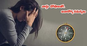 Vastu Tips: ఇంట్లో ఎప్పుడూ ఎవరో ఒకరు అనారోగ్యం బారిన పడుతున్నారా ?