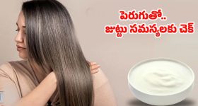 Best Hair Care Tips: ఏవేవో హెయిర్ ఆయిల్స్ అవసరమే లేదు, ఈ ఒక్కటి వాడితే పొడవాటి జుట్టు
