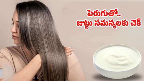 Best Hair Care Tips: ఏవేవో హెయిర్ ఆయిల్స్ అవసరమే లేదు, ఈ ఒక్కటి వాడితే పొడవాటి జుట్టు