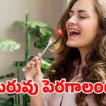 Weight Gain Tips: ఈ సింపుల్ టిప్స్‌తో.. ఈజీగా బరువు పెరుగుతారు